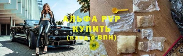 круглые Абаза