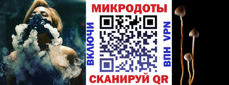 где купить наркотик  Шарья  Галлюциногенные грибы GOLDEN TEACHER 